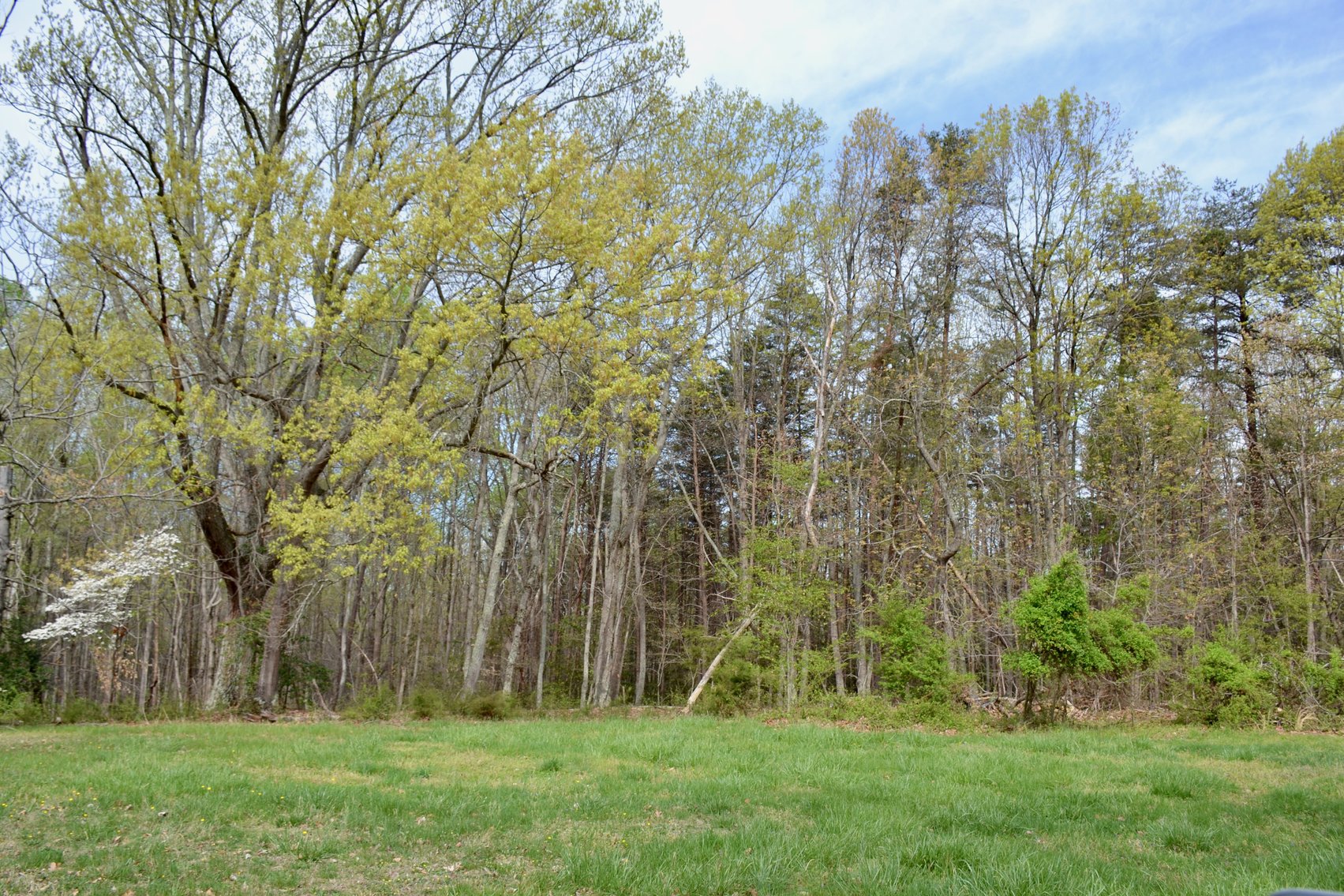 Image for 15.58 +/- Acres Featuring 3 Income Producing Homes, Building Lot & Two 5+ Acre Land Tracts--SELLING to the HIGHEST BIDDER!!