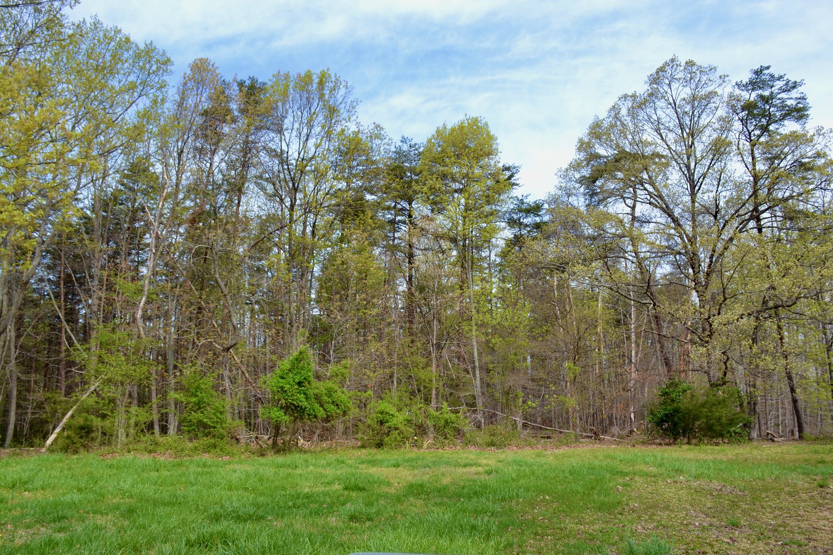 Image for 15.58 +/- Acres Featuring 3 Income Producing Homes, Building Lot & Two 5+ Acre Land Tracts--SELLING to the HIGHEST BIDDER!!