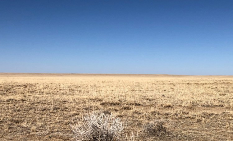 Image for KIOWA COUNTY, COLORADO - NATIVE GRASSLAND (C4068)