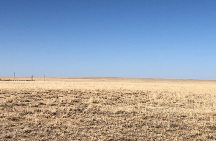 Image for KIOWA COUNTY, COLORADO - NATIVE GRASSLAND (C4068)