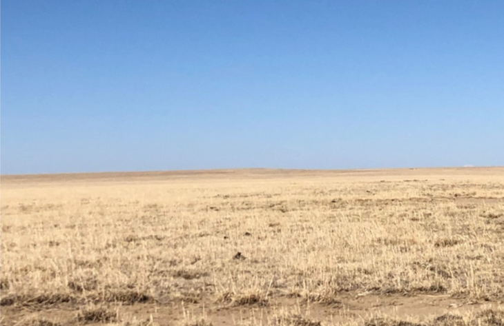 Image for KIOWA COUNTY, COLORADO - NATIVE GRASSLAND (C4068)