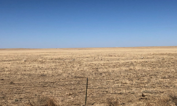 Image for KIOWA COUNTY, COLORADO - NATIVE GRASSLAND (C4068)