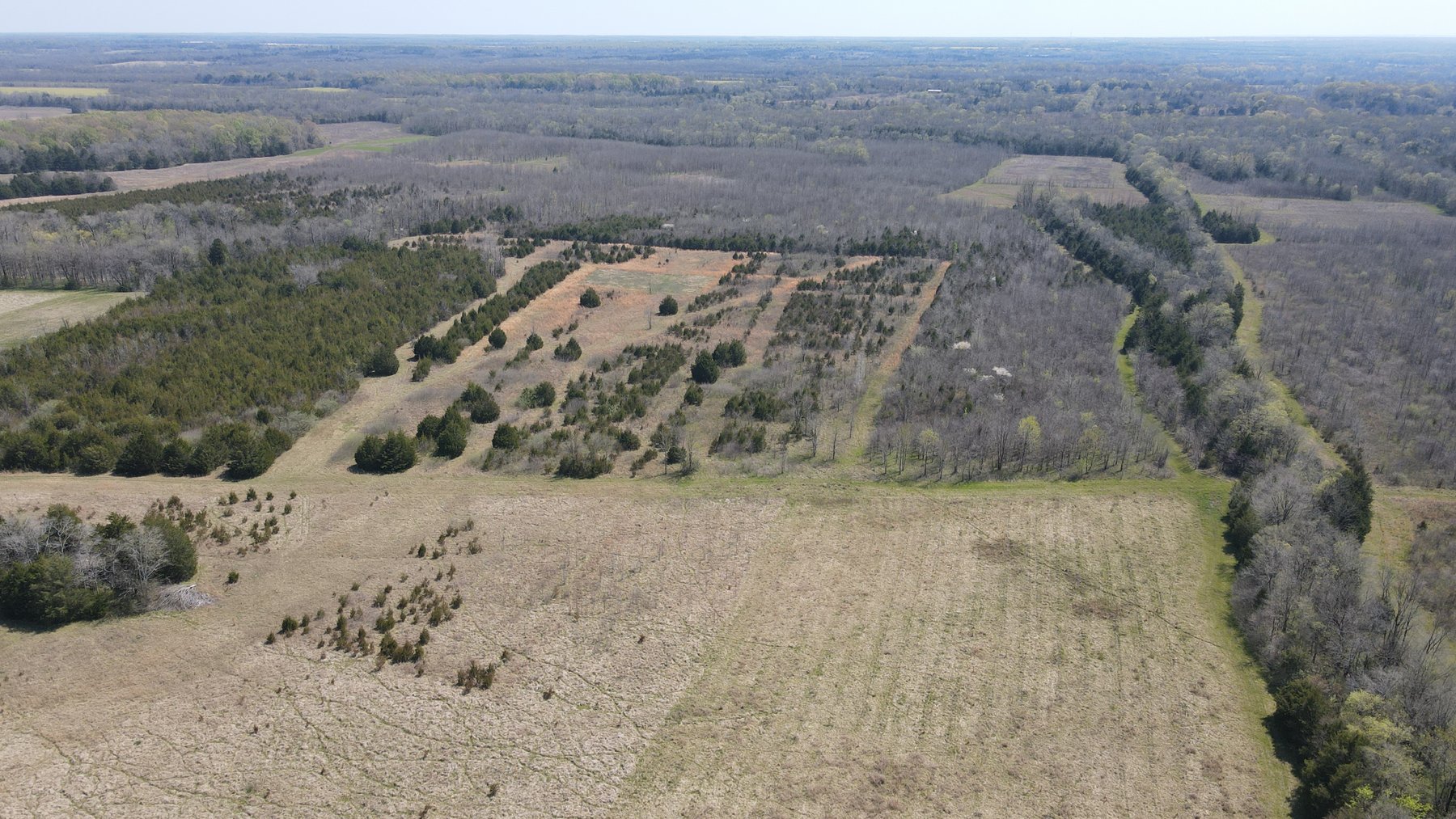 Image for Luxury Home and 124 Acres, Legacy Property - Columbus, Mississippi