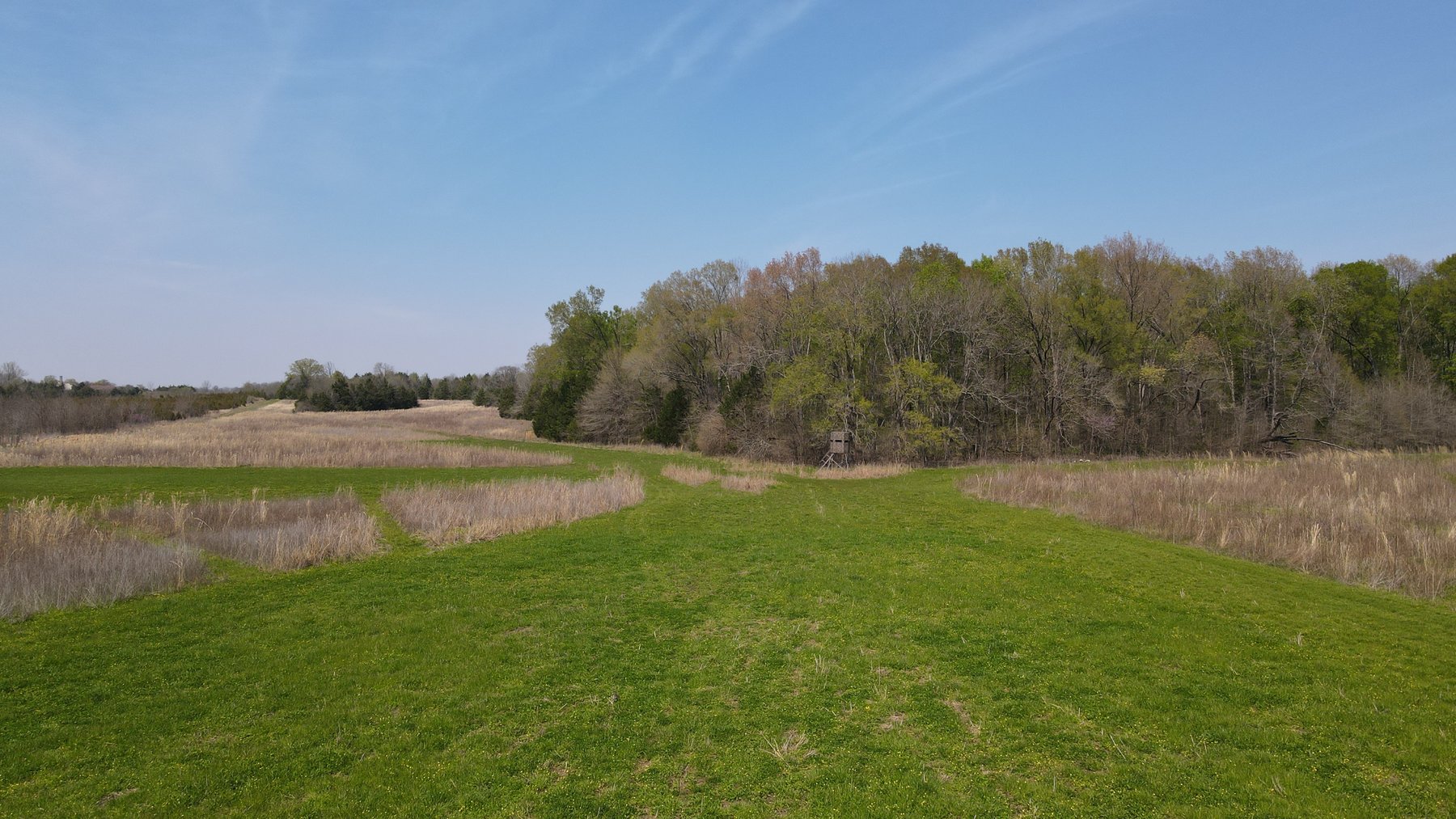 Image for Luxury Home and 124 Acres, Legacy Property - Columbus, Mississippi