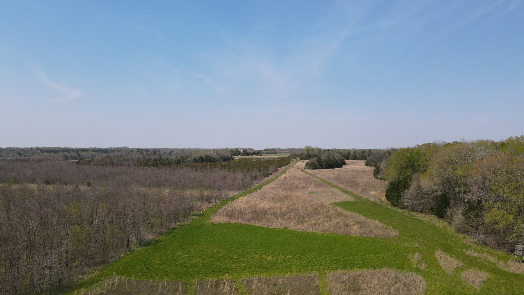 Image for Luxury Home and 124 Acres, Legacy Property - Columbus, Mississippi