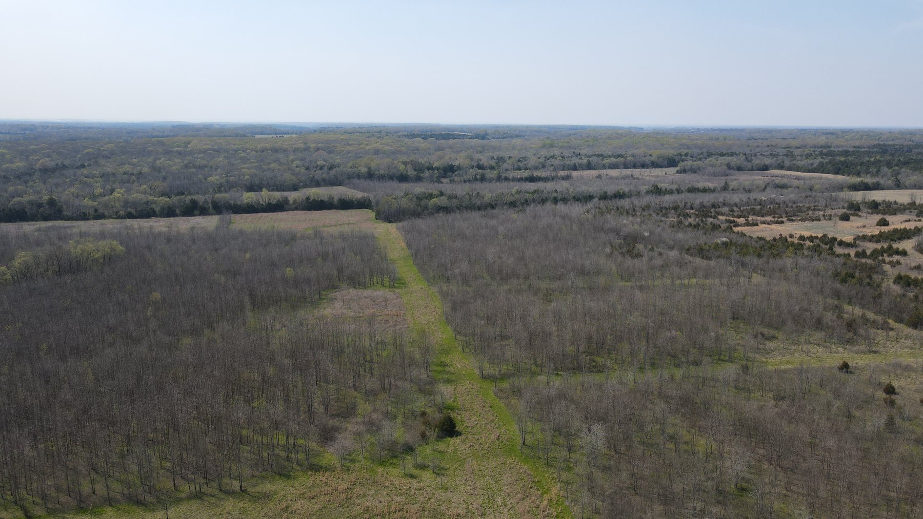 Image for Luxury Home and 124 Acres, Legacy Property - Columbus, Mississippi