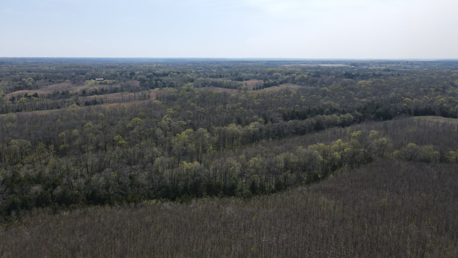Image for Luxury Home and 124 Acres, Legacy Property - Columbus, Mississippi