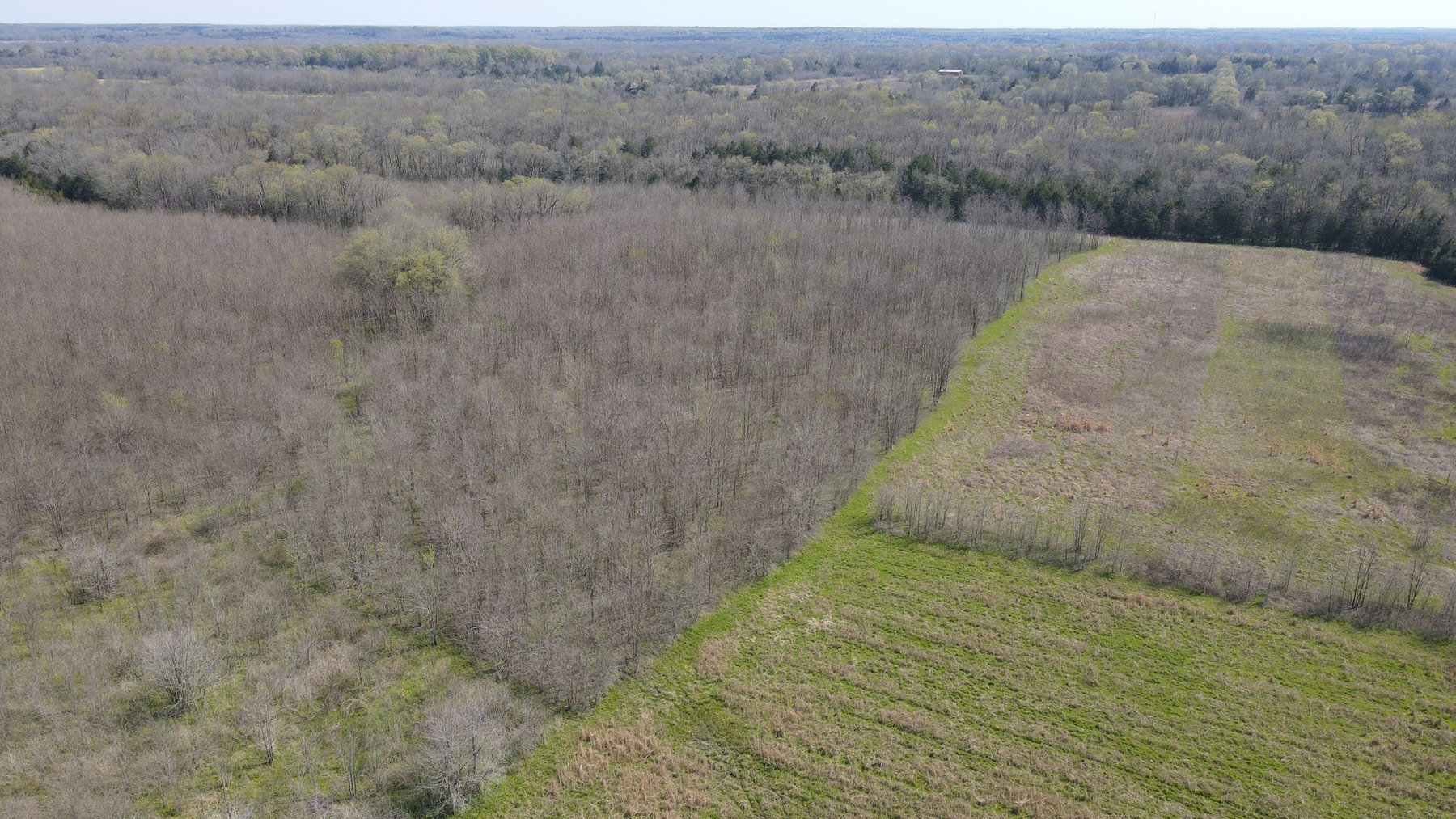Image for Luxury Home and 124 Acres, Legacy Property - Columbus, Mississippi