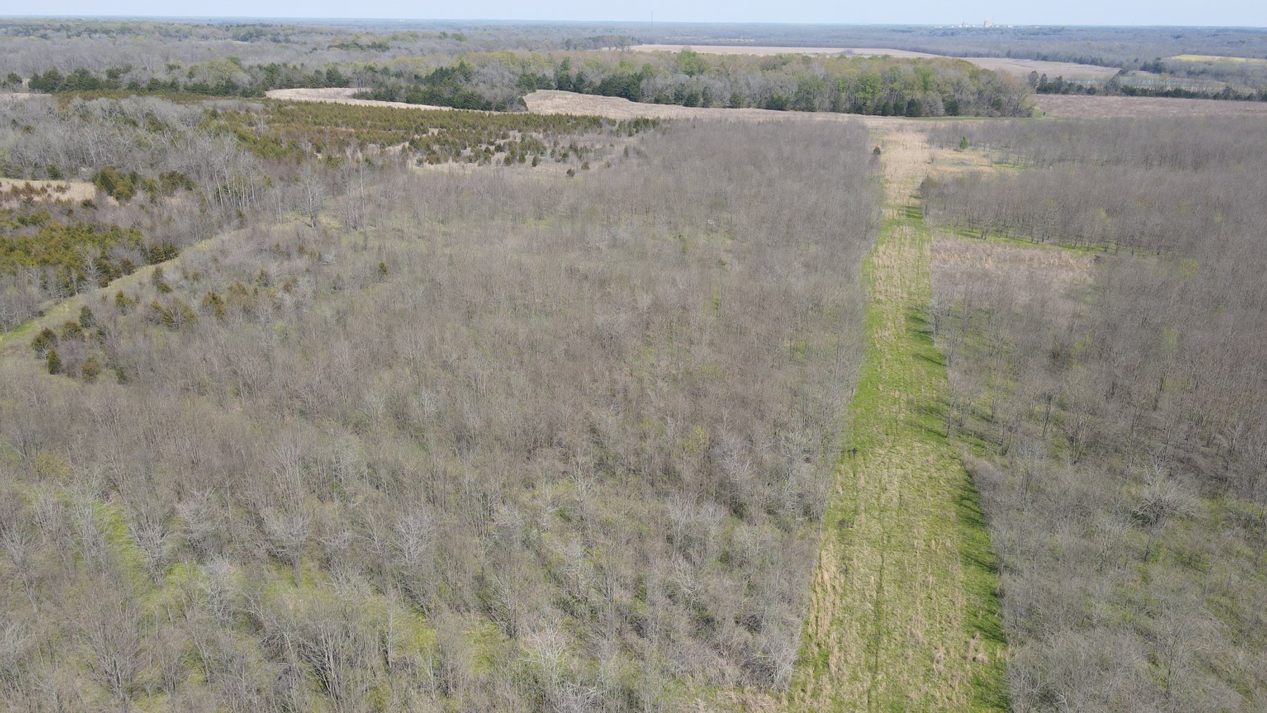 Image for Luxury Home and 124 Acres, Legacy Property - Columbus, Mississippi