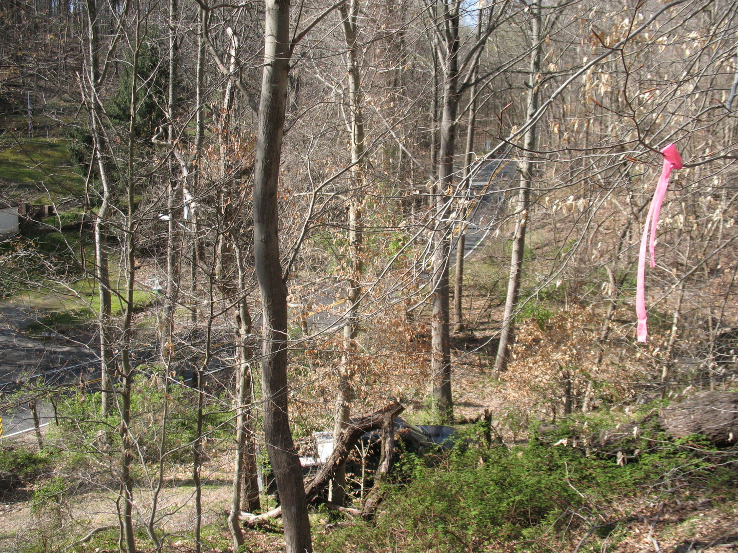 Image for Auction - Home & 2.998 Acres -  Occoquan VA