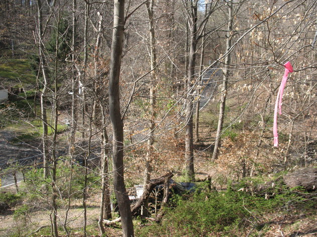 Image for Auction - Home & 2.998 Acres -  Occoquan VA