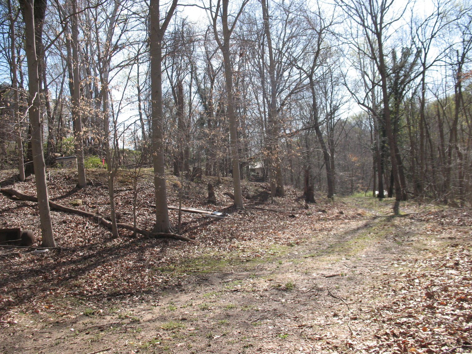 Image for Auction - Home & 2.998 Acres -  Occoquan VA