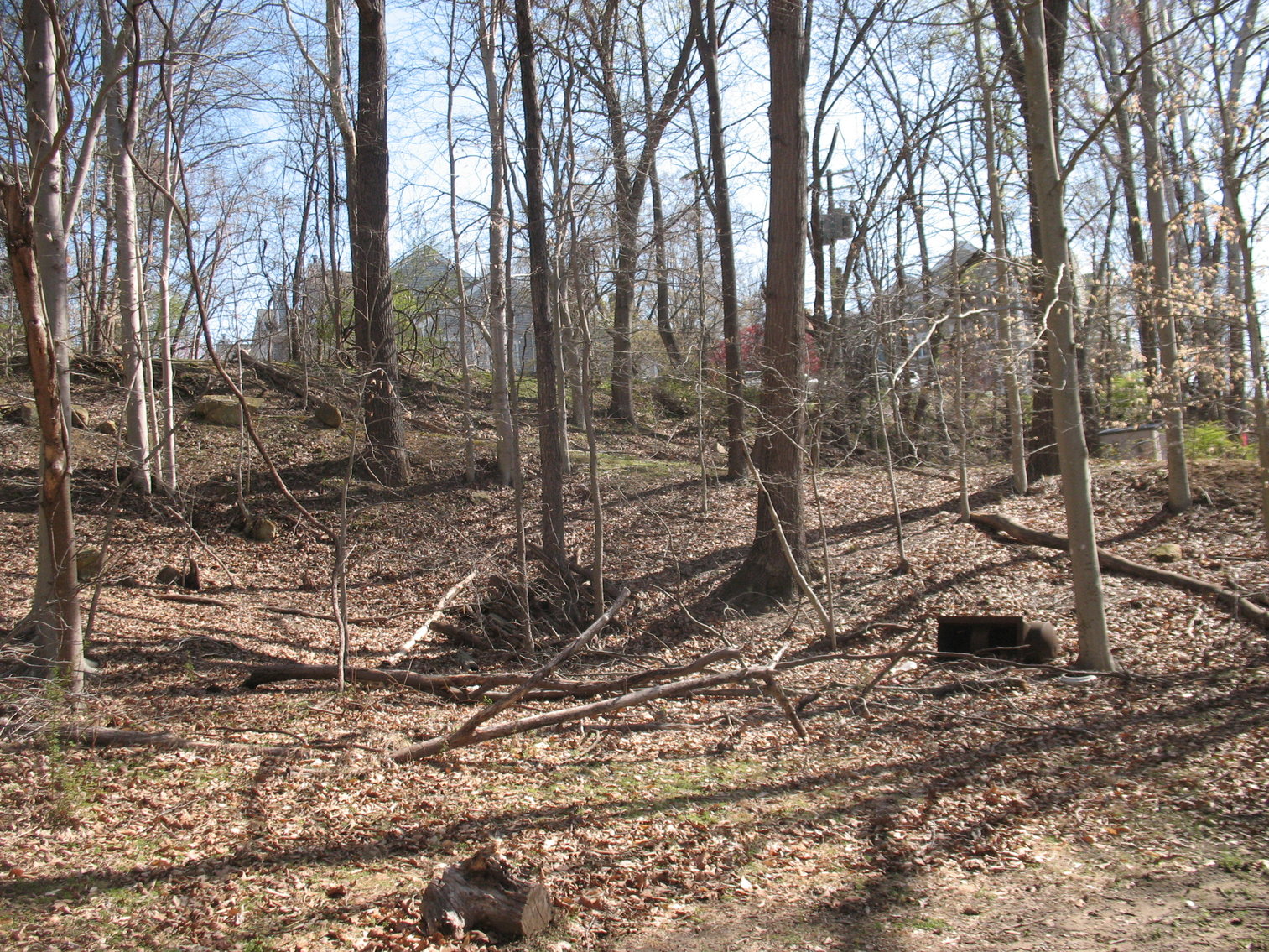 Image for Auction - Home & 2.998 Acres -  Occoquan VA