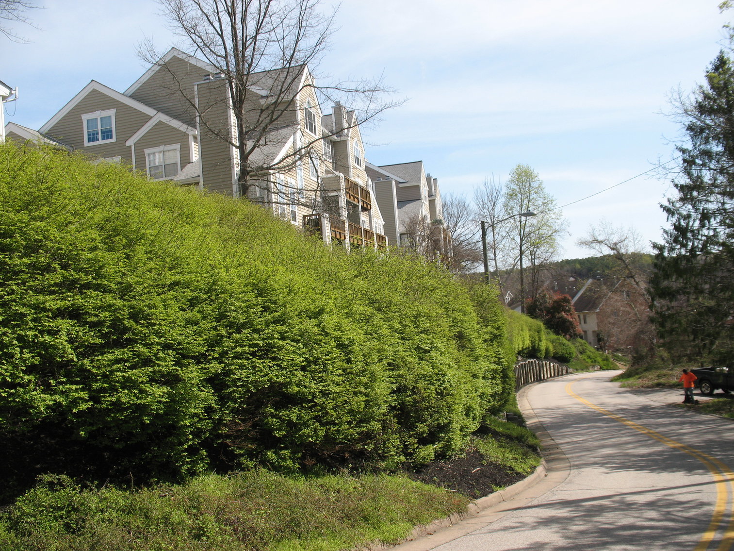 Image for Auction - Home & 2.998 Acres -  Occoquan VA