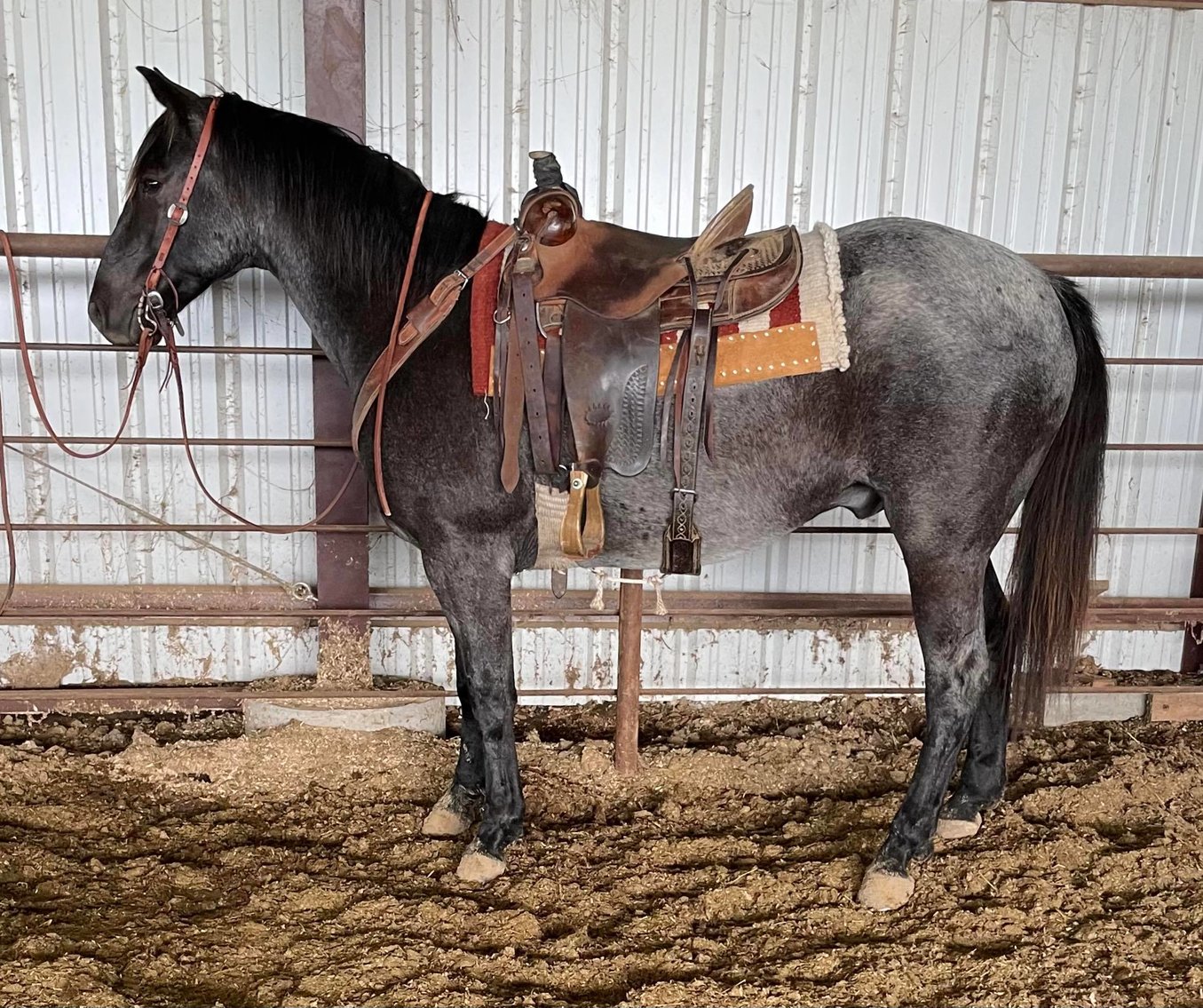 Image for Oklahoma Select All Breed Catalog Horse Sale - April 23rd - Wagoner, Oklahoma