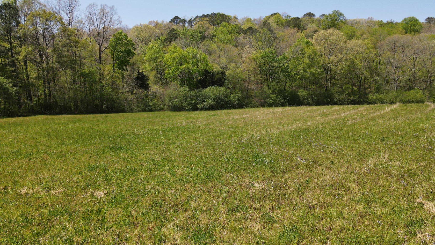 Image for 96 Acre Recreational Farm - Morgan County, Alabama