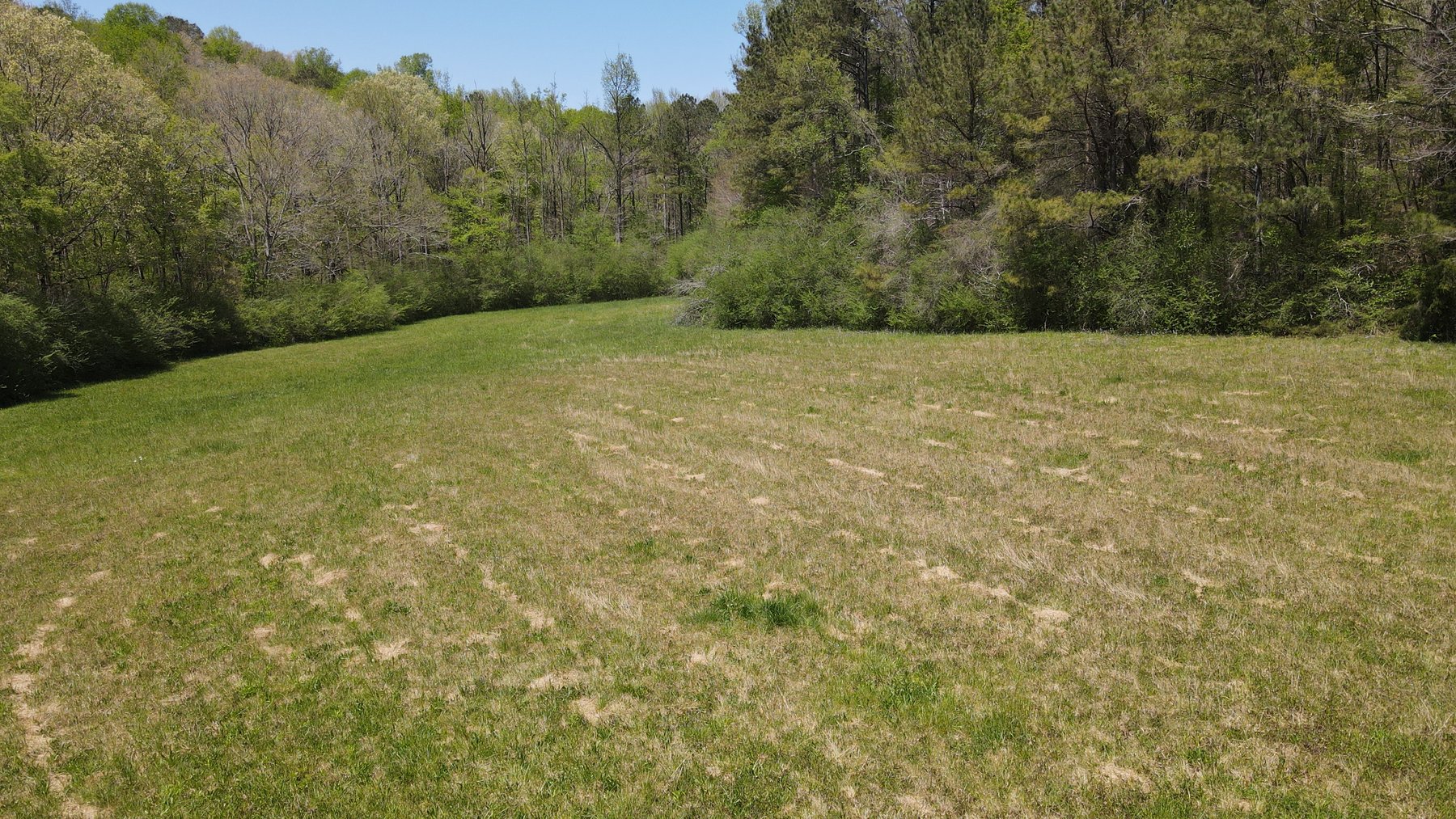 Image for 96 Acre Recreational Farm - Morgan County, Alabama