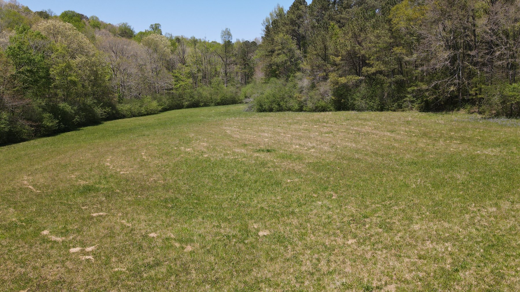 Image for 96 Acre Recreational Farm - Morgan County, Alabama