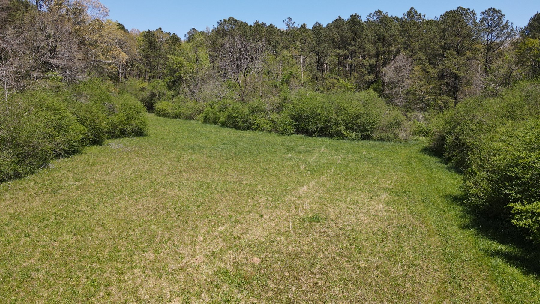 Image for 96 Acre Recreational Farm - Morgan County, Alabama