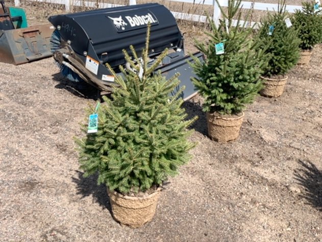 Image for April 26th Consignments Ring Two