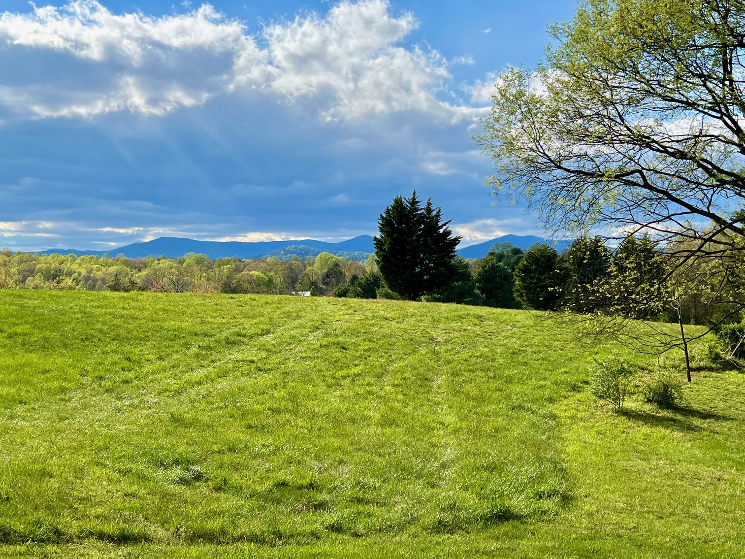 Image for 3 Parcels Totaling 30.3 +/- Acres w/4 BR Home, Outbuildings & 1,600' +/- of Rt. 29 Frontage--Madison County, VA