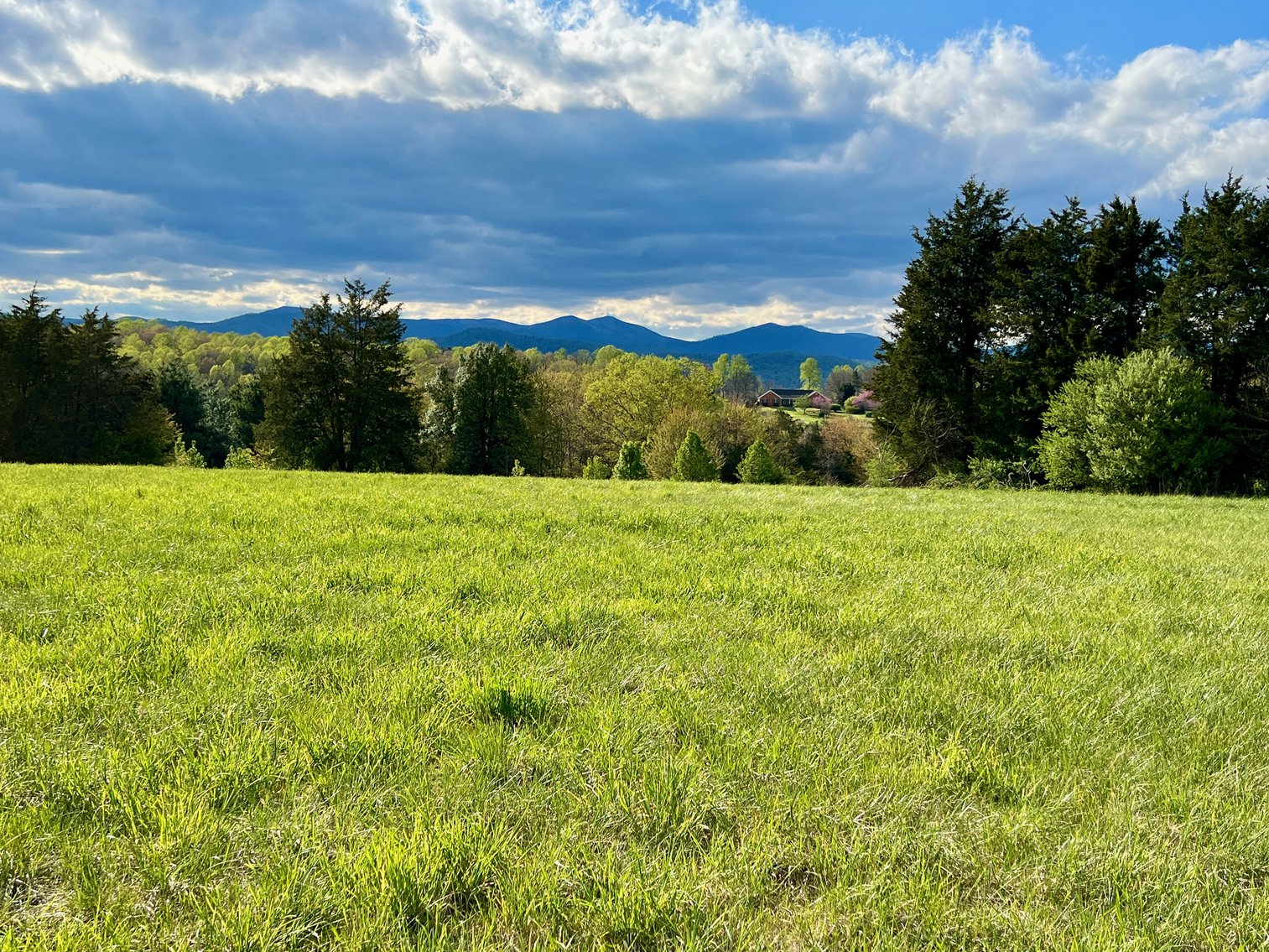 Image for 3 Parcels Totaling 30.3 +/- Acres w/4 BR Home, Outbuildings & 1,600' +/- of Rt. 29 Frontage--Madison County, VA