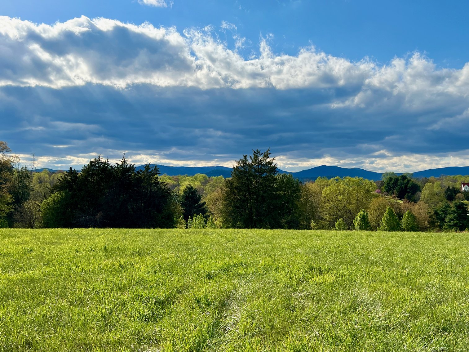 Image for 3 Parcels Totaling 30.3 +/- Acres w/4 BR Home, Outbuildings & 1,600' +/- of Rt. 29 Frontage--Madison County, VA