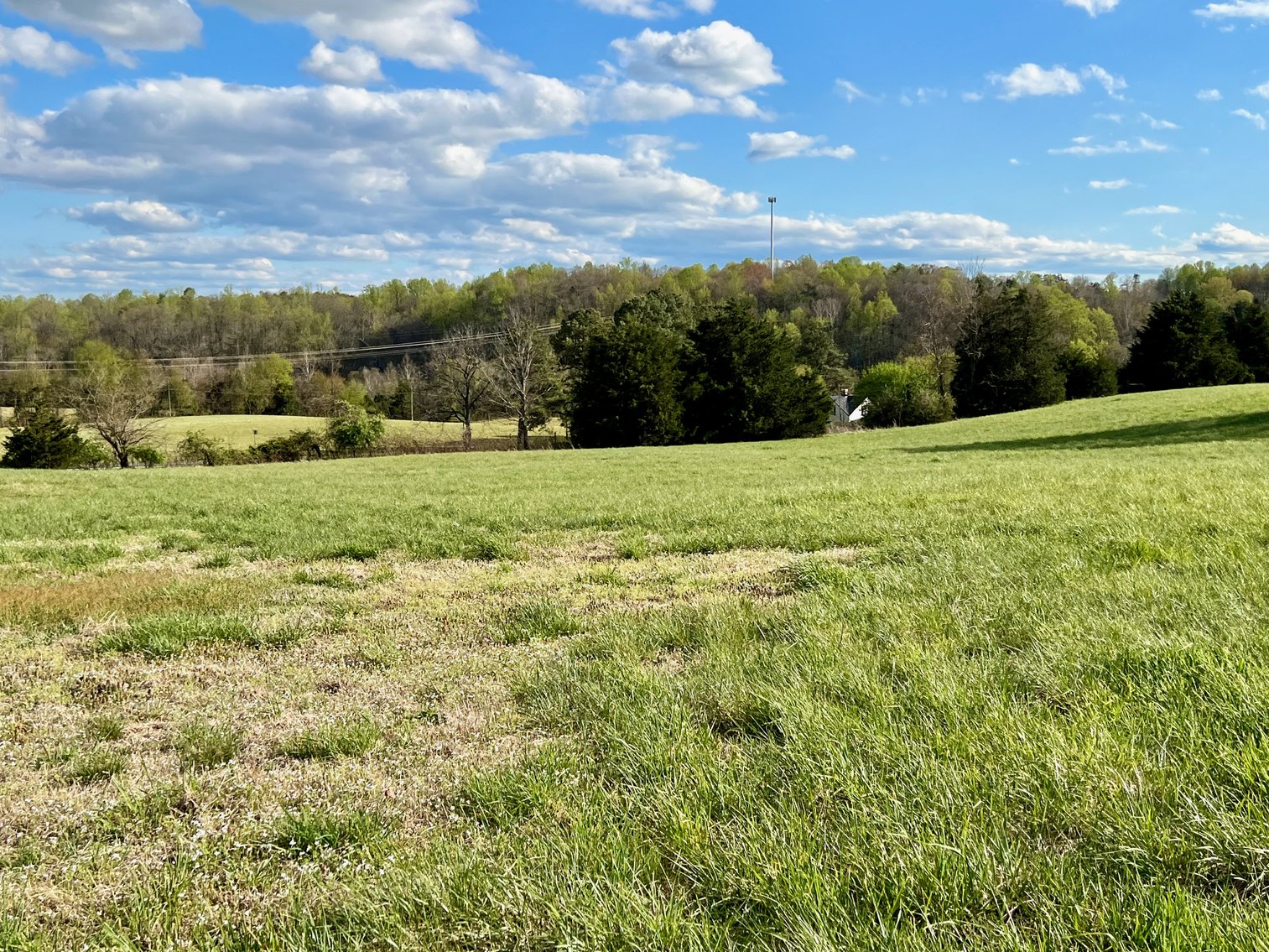 Image for 3 Parcels Totaling 30.3 +/- Acres w/4 BR Home, Outbuildings & 1,600' +/- of Rt. 29 Frontage--Madison County, VA