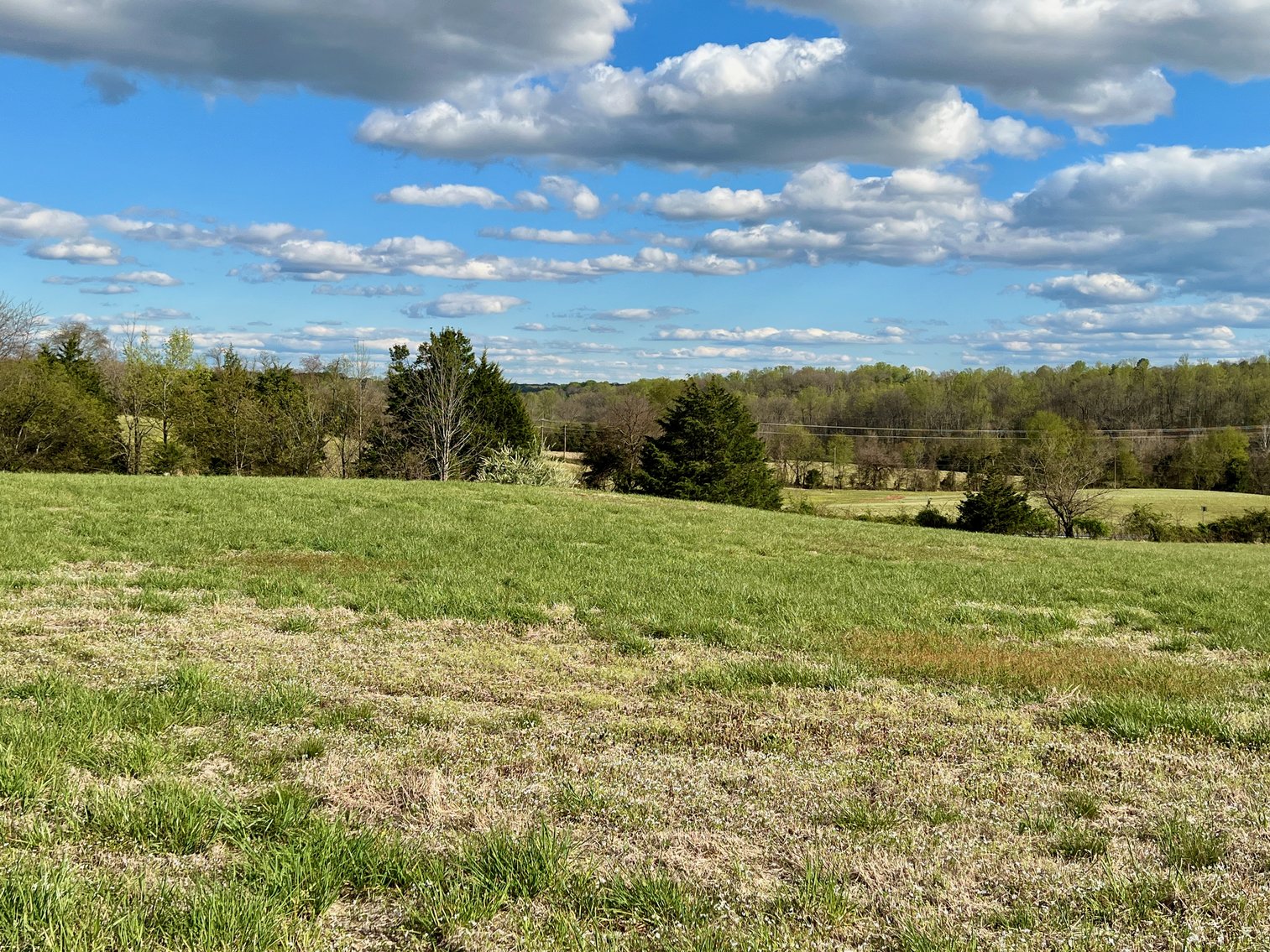 Image for 3 Parcels Totaling 30.3 +/- Acres w/4 BR Home, Outbuildings & 1,600' +/- of Rt. 29 Frontage--Madison County, VA