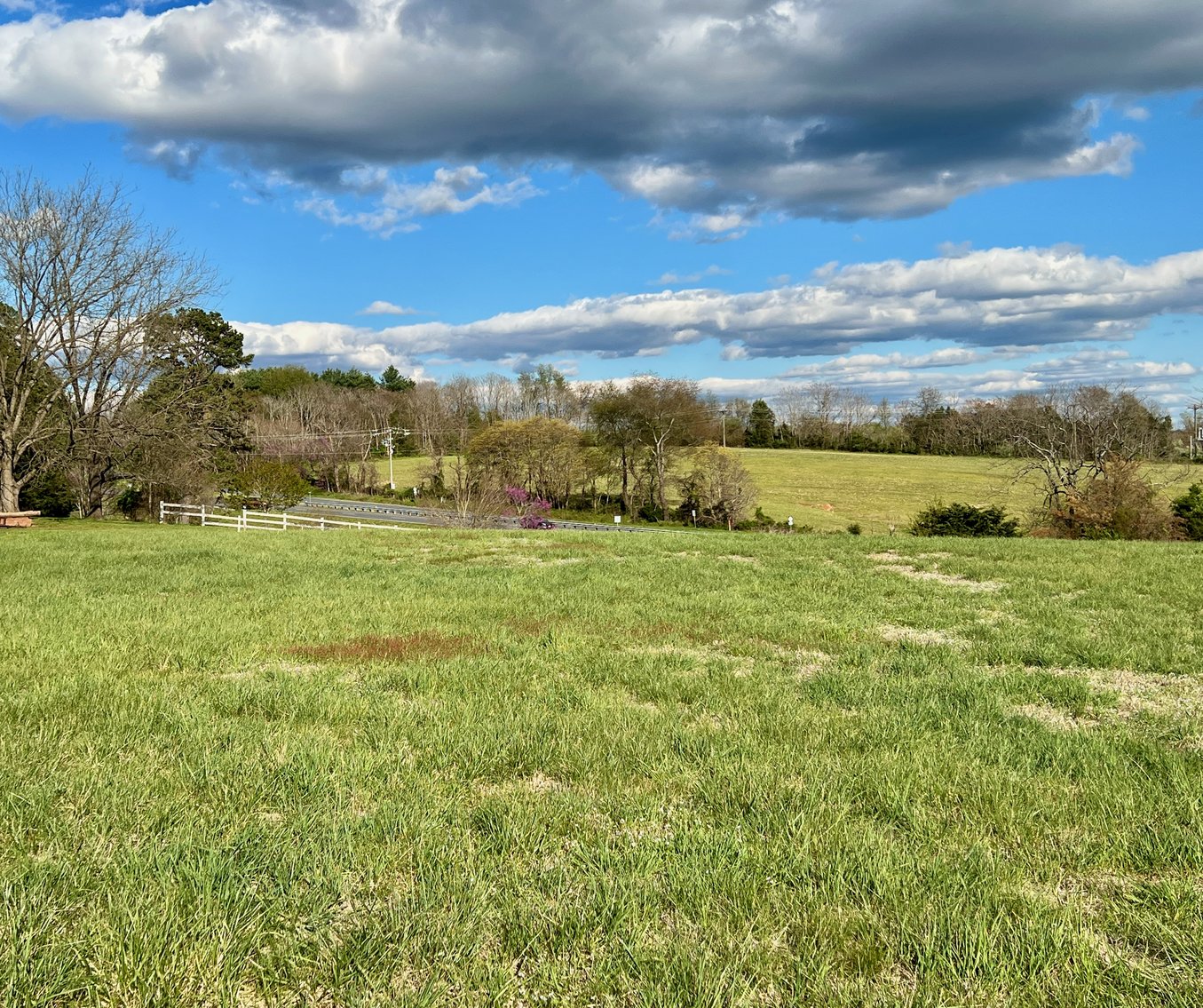 Image for 3 Parcels Totaling 30.3 +/- Acres w/4 BR Home, Outbuildings & 1,600' +/- of Rt. 29 Frontage--Madison County, VA