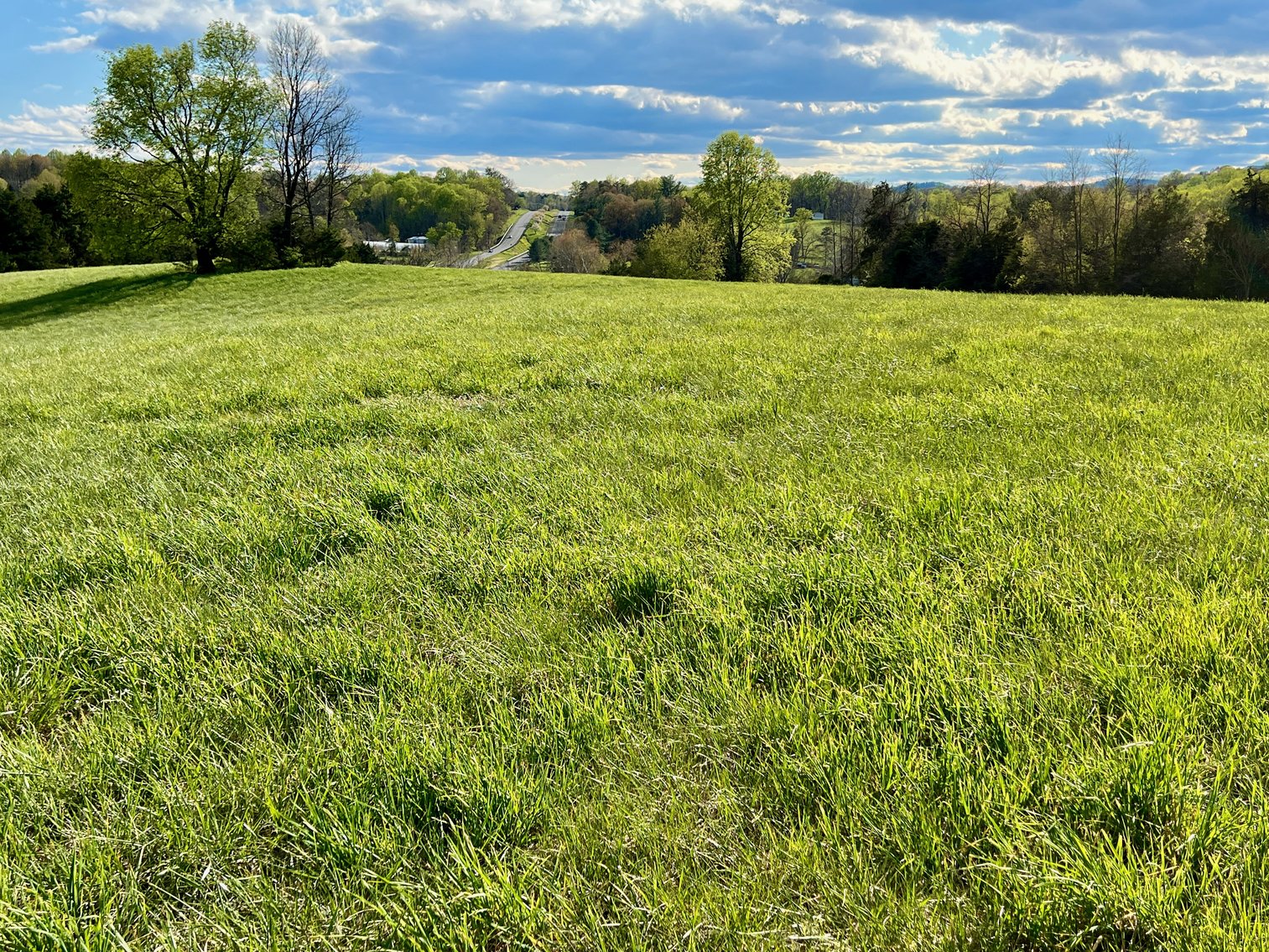 Image for 3 Parcels Totaling 30.3 +/- Acres w/4 BR Home, Outbuildings & 1,600' +/- of Rt. 29 Frontage--Madison County, VA
