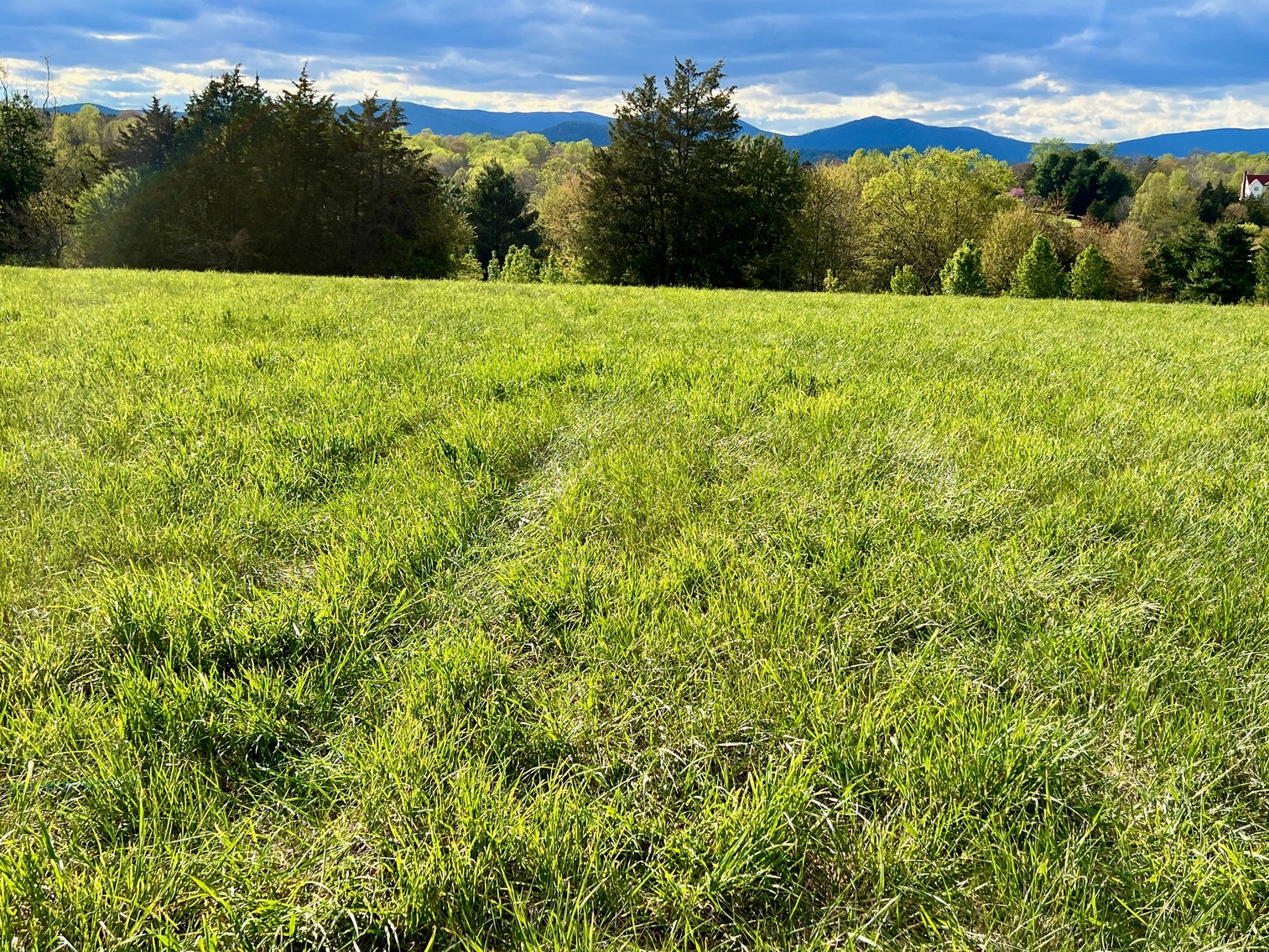 Image for 3 Parcels Totaling 30.3 +/- Acres w/4 BR Home, Outbuildings & 1,600' +/- of Rt. 29 Frontage--Madison County, VA