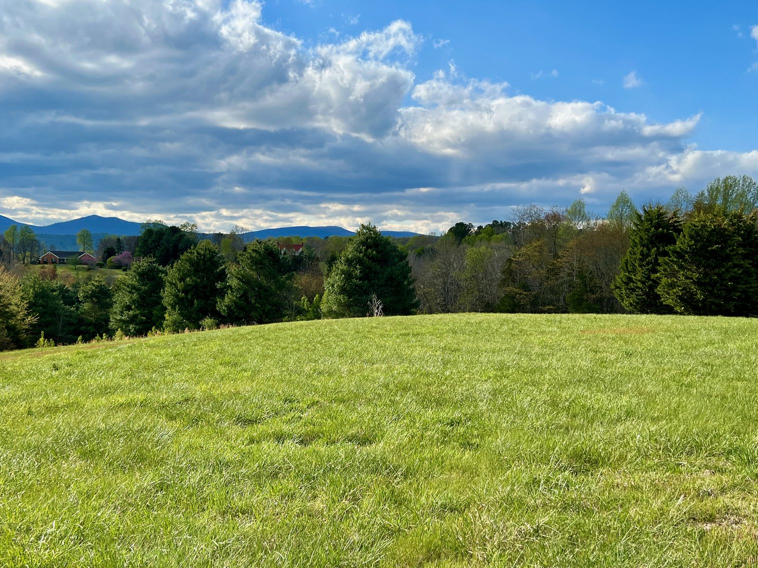 Image for 3 Parcels Totaling 30.3 +/- Acres w/4 BR Home, Outbuildings & 1,600' +/- of Rt. 29 Frontage--Madison County, VA