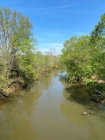 Image for Absolute Auction - 122± acres in Campbell County