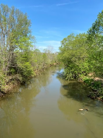 Image for Absolute Auction - 122± acres in Campbell County