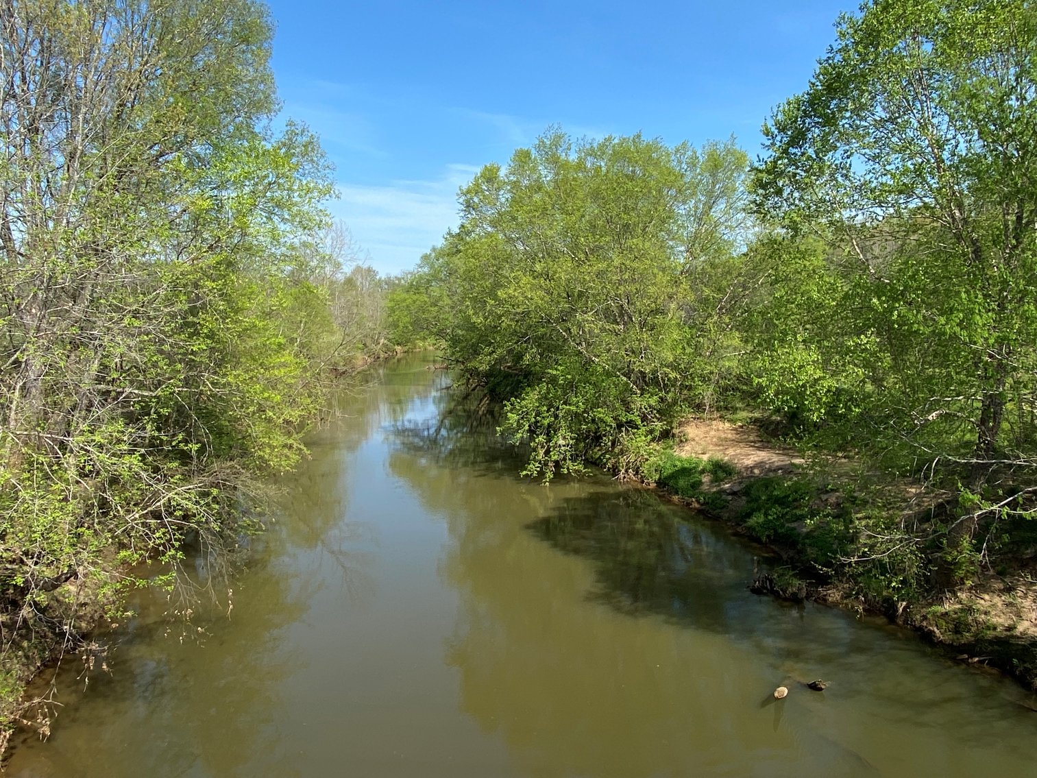 Image for Absolute Auction - Little Estate - 122± acres