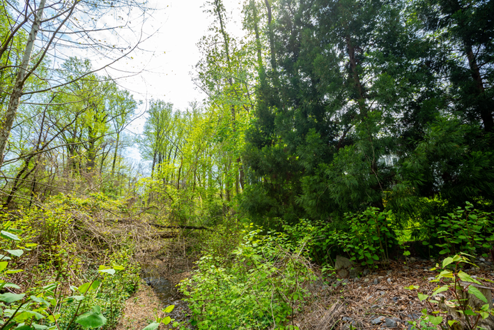 Image for Fairfax County, VA Tax Delinquent Sale of Real Estate