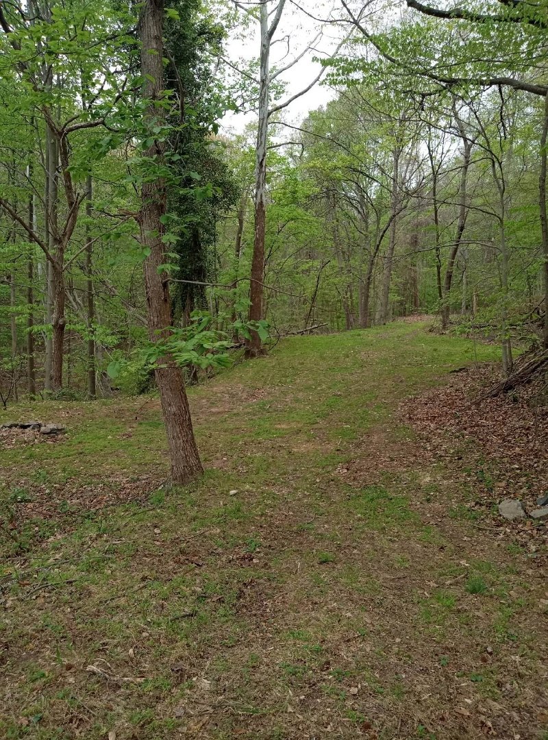 Image for Auction - Home & 2.998 Acres -  Occoquan VA