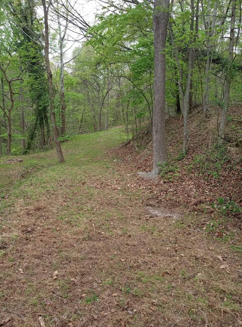 Image for Auction - Home & 2.998 Acres -  Occoquan VA