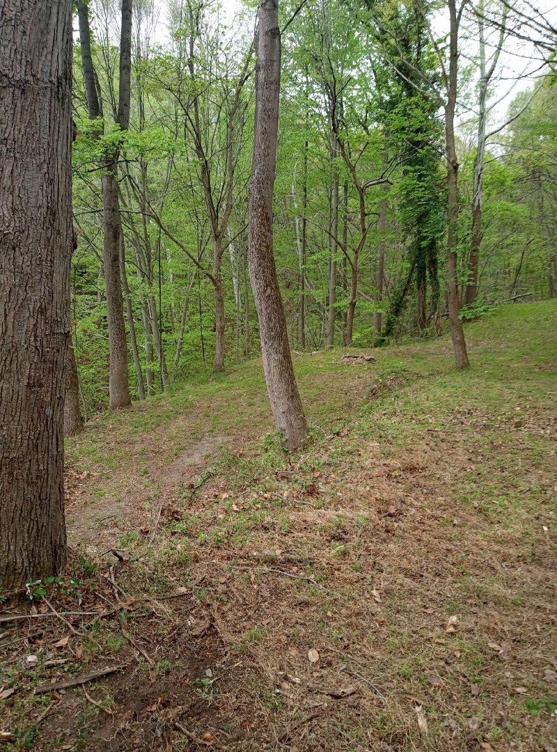 Image for Auction - Home & 2.998 Acres -  Occoquan VA