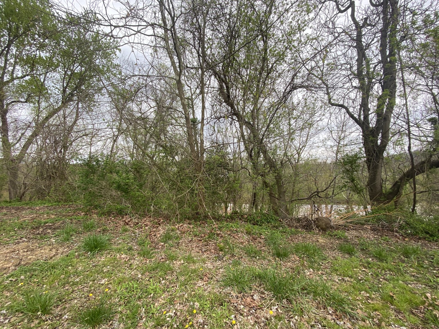 Image for ABSOLUTE Commercial Real Estate Auction