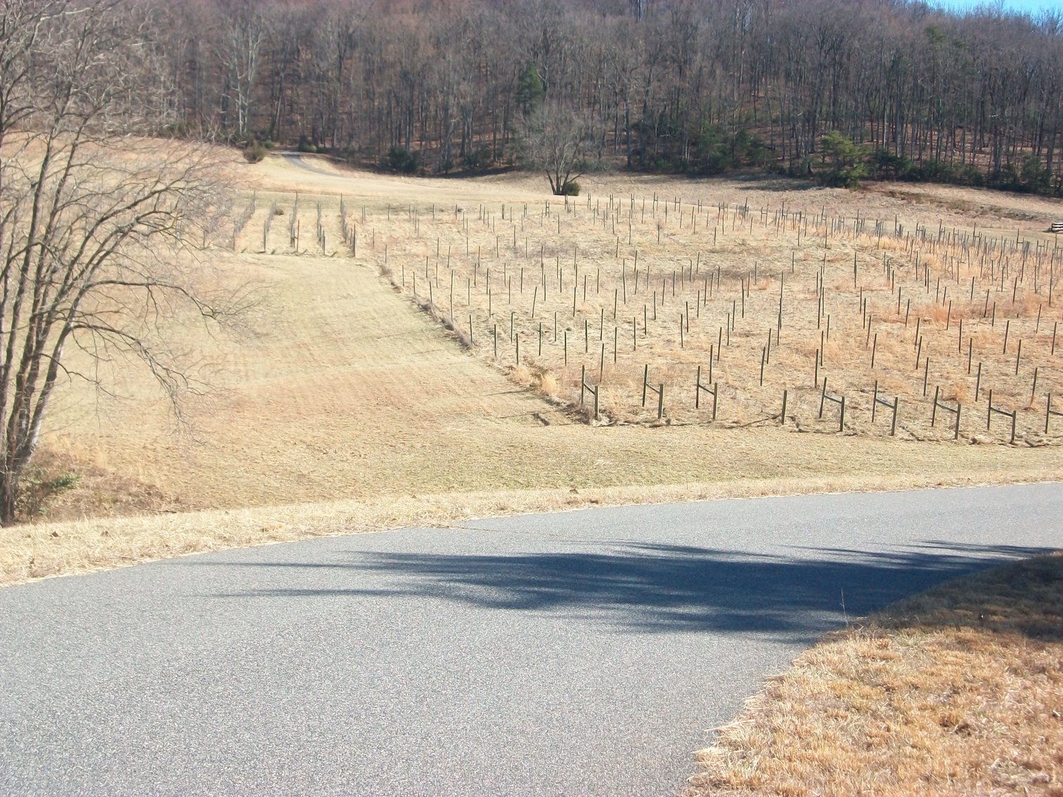 Image for Absolute Trustee Auction - 33.03 ± acres selling in 2 tracts