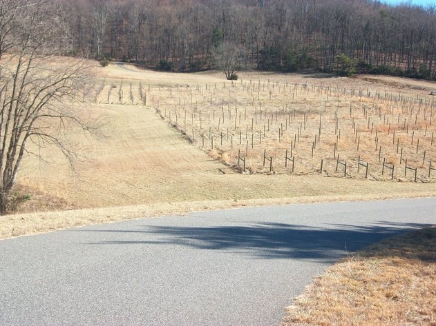 Image for Absolute Trustee Auction - 33.03 ± acres selling in 2 tracts - Albemarle Co.