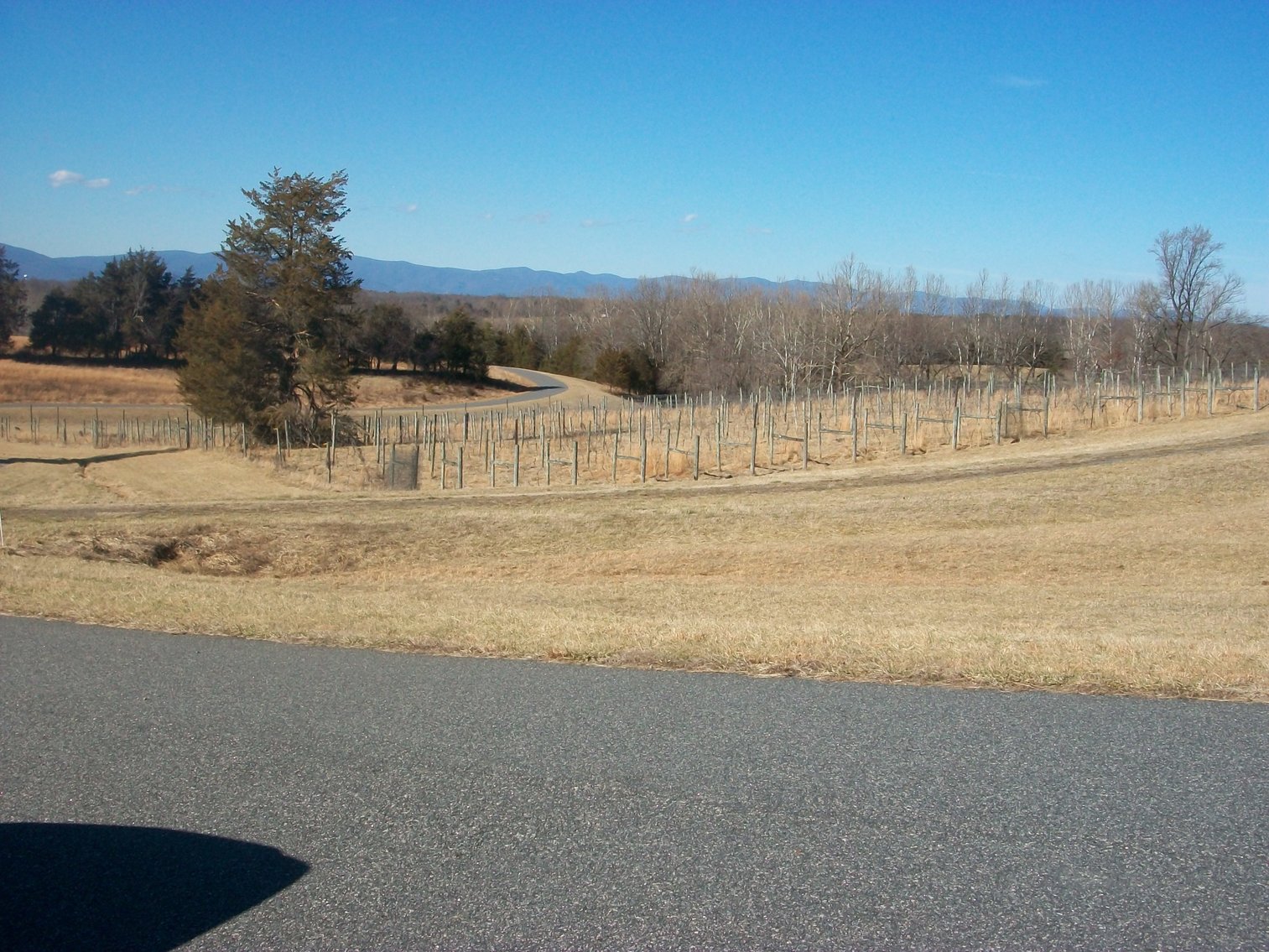 Image for Absolute Trustee Auction - 33.03 ± acres selling in 2 tracts