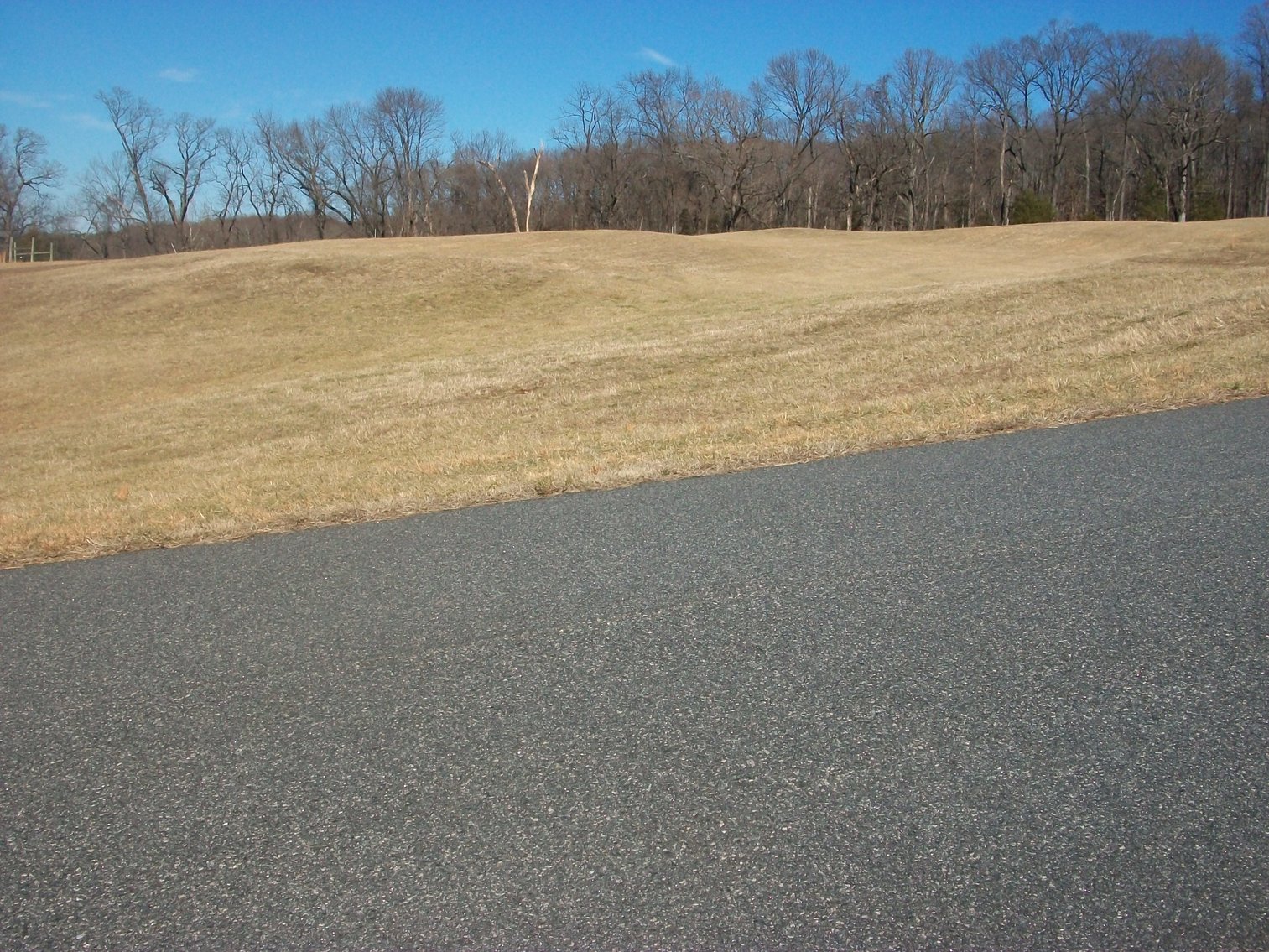 Image for Absolute Trustee Auction - 33.03 ± acres selling in 2 tracts