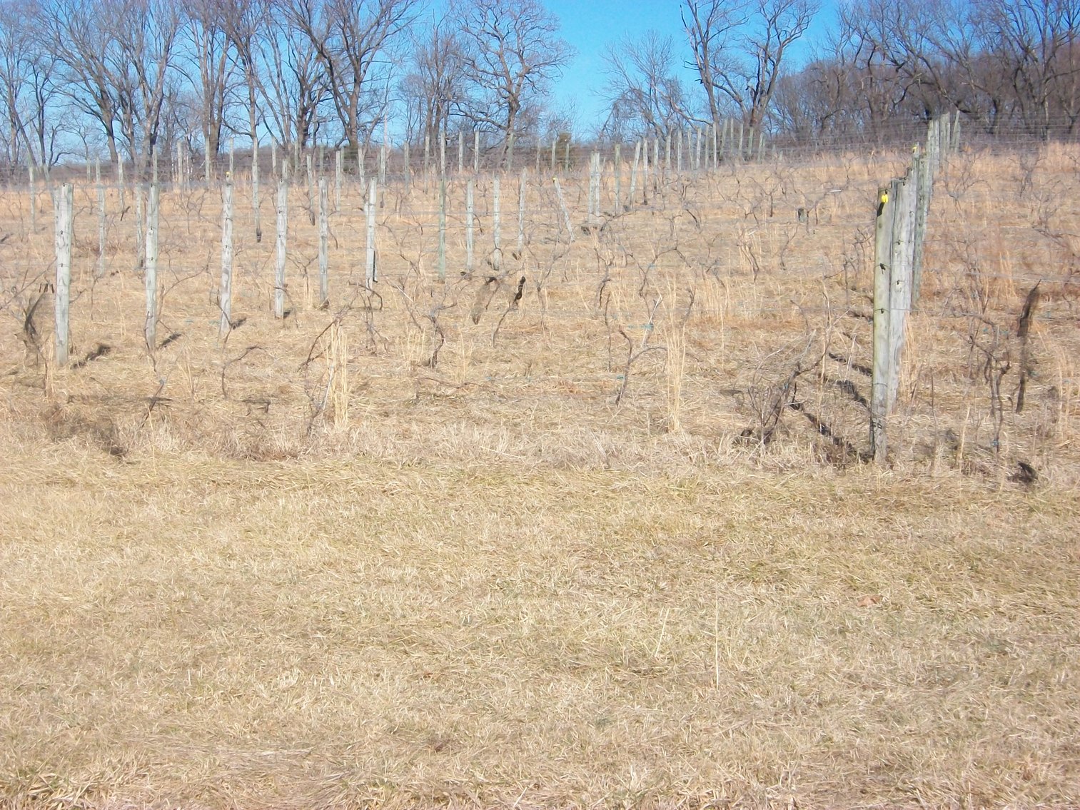 Image for Absolute Trustee Auction - 33.03 ± acres selling in 2 tracts