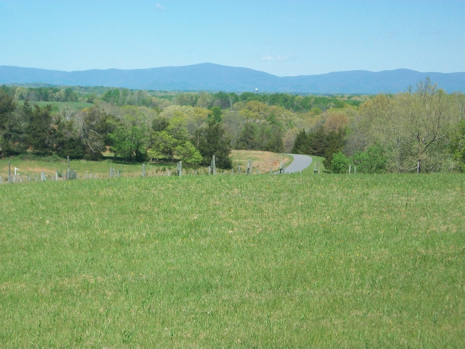 Image for Absolute Trustee Auction - 33.03 ± acres selling in 2 tracts