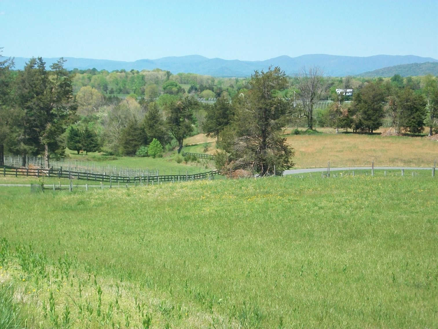 Image for Absolute Trustee Auction - 33.03 ± acres selling in 2 tracts