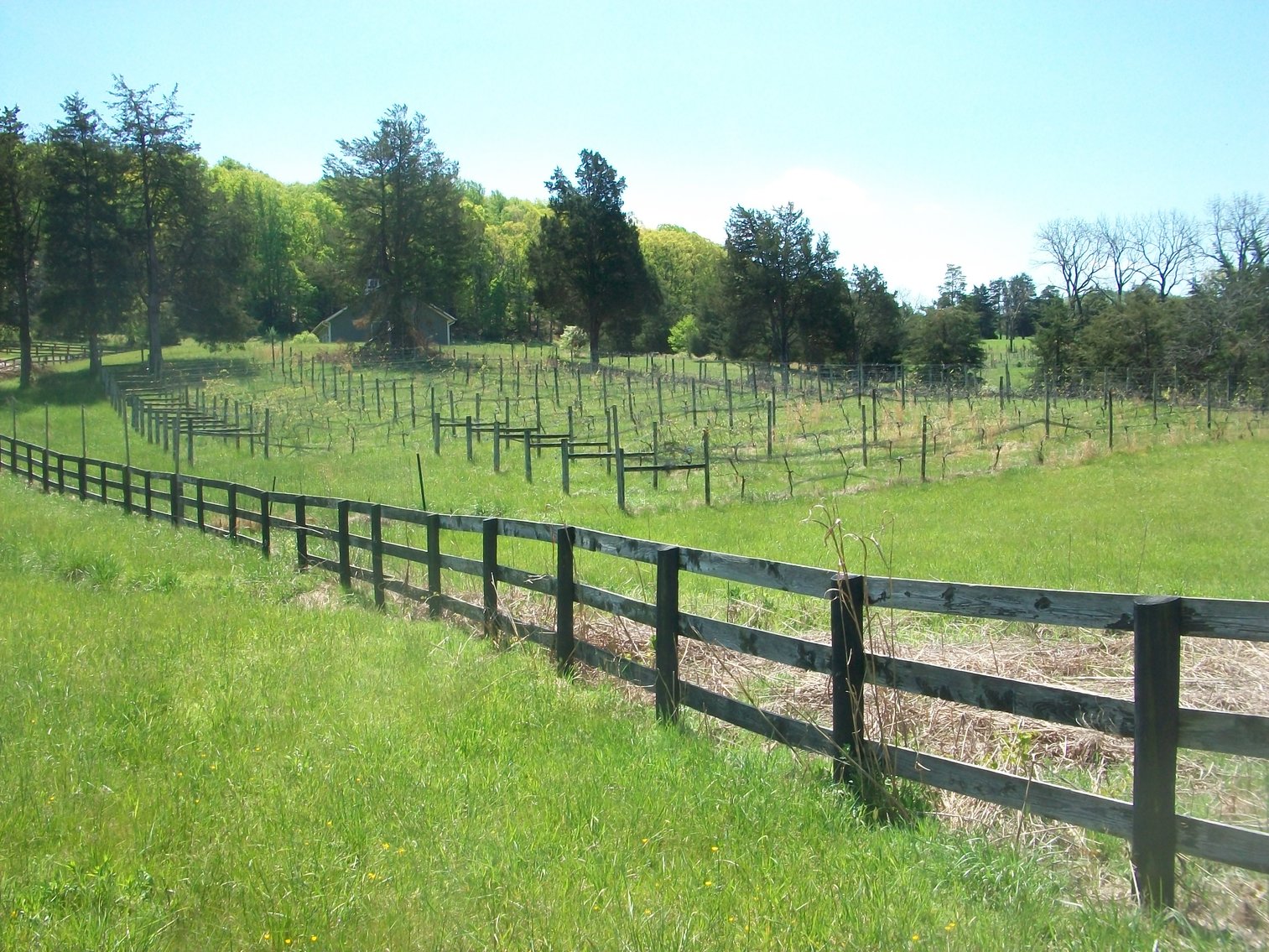 Image for Absolute Trustee Auction - 33.03 ± acres selling in 2 tracts