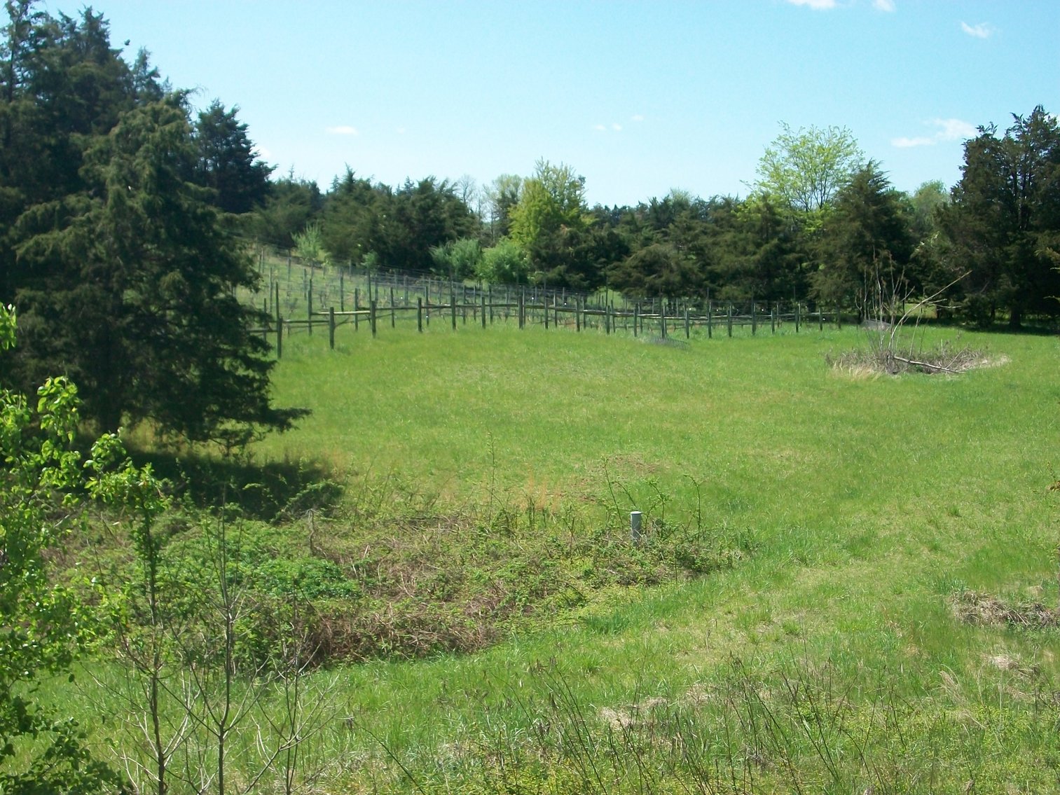 Image for Absolute Trustee Auction - 33.03 ± acres selling in 2 tracts